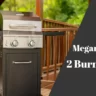 Megamaster 2 Burner Grill Review